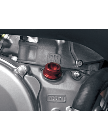 Oil Filler Cap PINGEL 62300