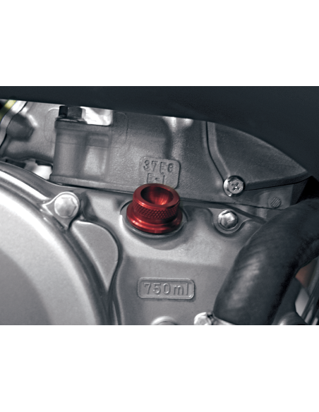 Oil Filler Cap PINGEL 62300