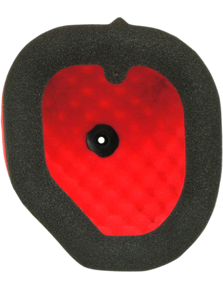 Dual Layer Air Filter DT-1 RACING EUROPE EVO-170-18NO