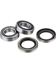 Rodamientos de la rueda FACTORY LINKS RWK-T-039