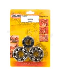 Crankshaft bearings and seals Hot Rods K009