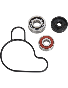 Kit reparación bomba de agua HOT RODS WPK0057