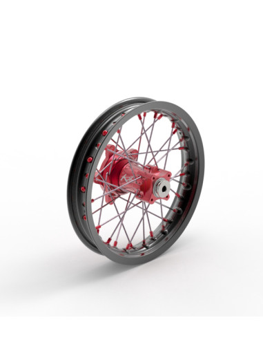 Rueda Elite MX-EN, radios plateados KITE 20.679.0.RO