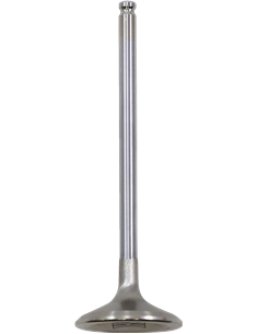 Válvula de motor White Diamond™ KIBBLEWHITE 40-41616H