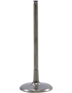 Válvula de motor KIBBLEWHITE 40-41612T