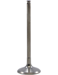 Válvula motor Tensilite® KIBBLEWHITE 40-41616T