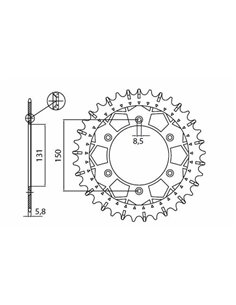 Coronas de acero inoxidable Works Z SUNSTAR SPROCKETS 8-3619-49