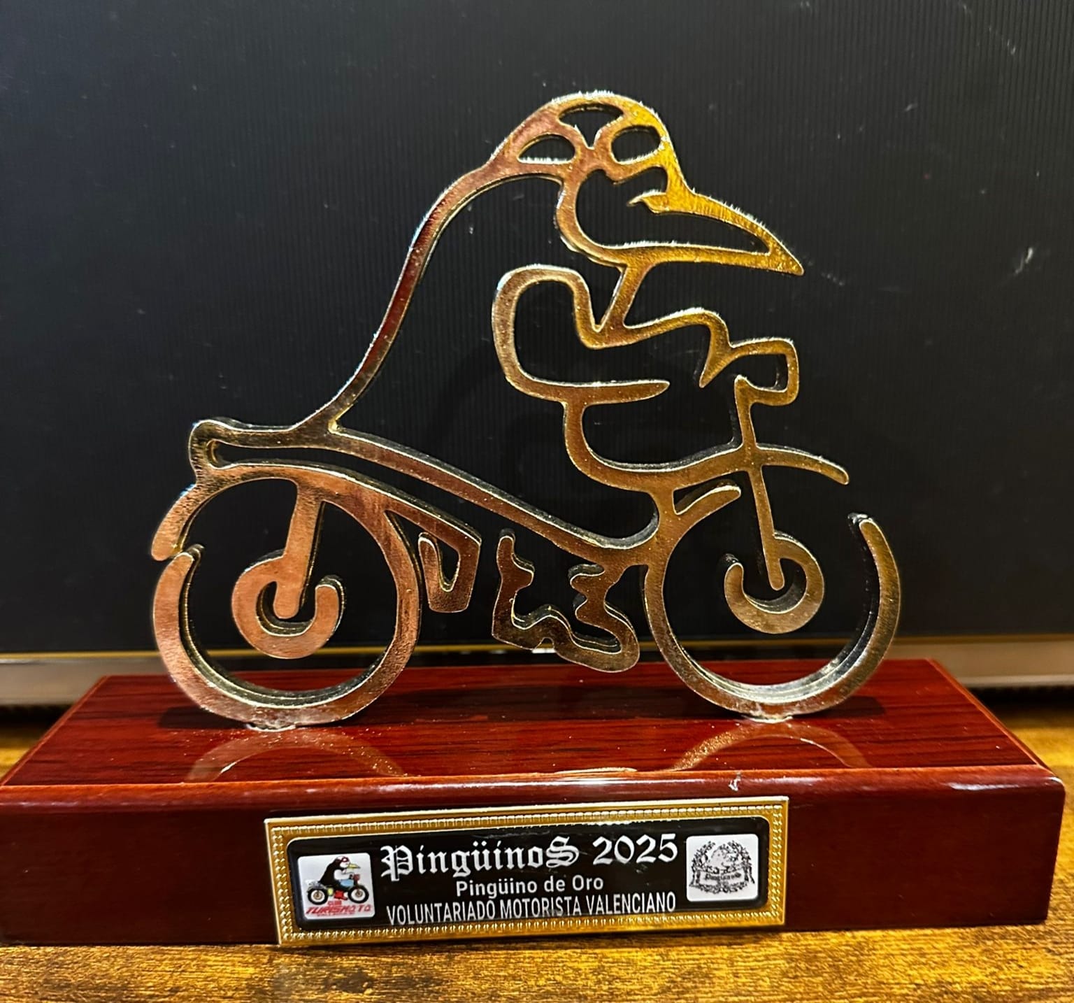 Los Voluntarios Motociclistas reciben el Pingüino de Oro 2025