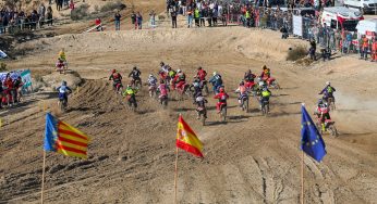Éxito absoluto del Motocross de Crevillent