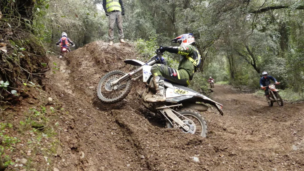 54390962401 99cafc93e8 K