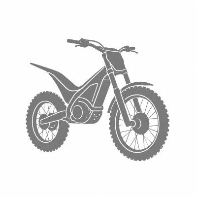 Beta Evo 290 2011
