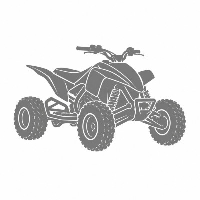 Suzuki LT-R 450